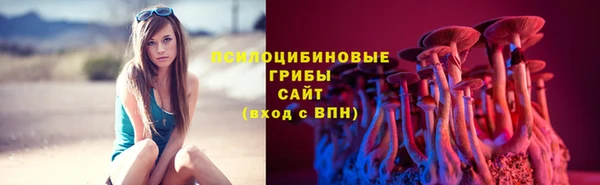 тгк Абинск