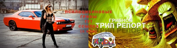 наркотики Абаза